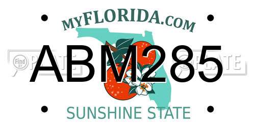 ABM285 Florida License Plate