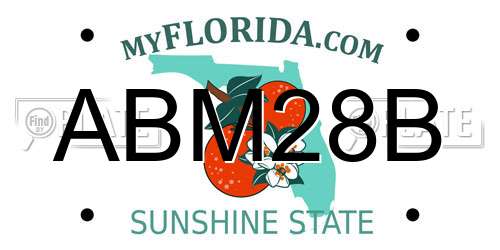 ABM28B Florida License Plate