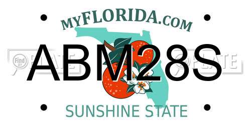 ABM28S Florida License Plate