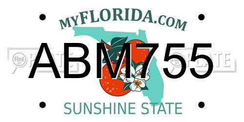 ABM755 Florida License Plate