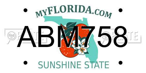 ABM758 Florida License Plate