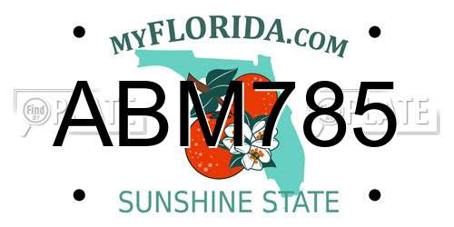 ABM785 Florida License Plate