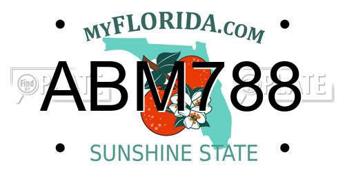 ABM788 Florida License Plate