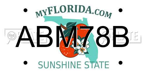 ABM78B Florida License Plate