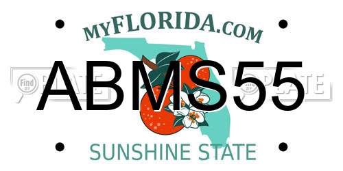 ABMS55 Florida License Plate
