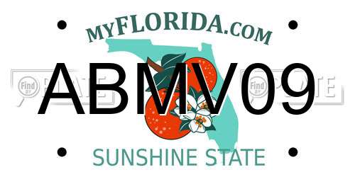 ABMV09 Florida License Plate