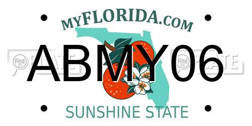 ABMY06 Florida License Plate