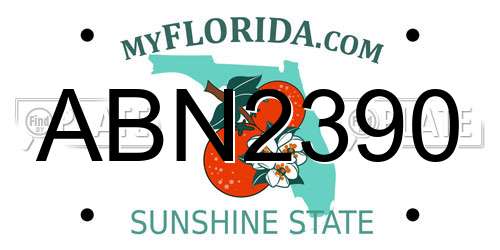 ABN2390 Florida License Plate