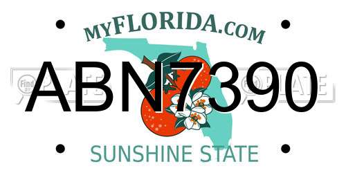 ABN7390 Florida License Plate