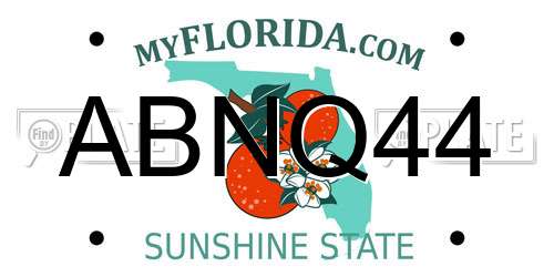 ABNQ44 Florida License Plate