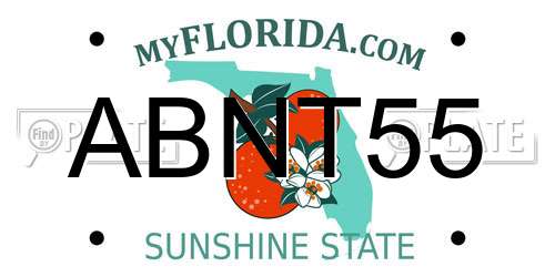ABNT55 Florida License Plate