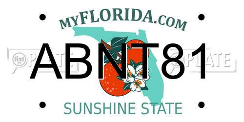 ABNT81 Florida License Plate