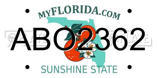 ABO2362 Florida License Plate
