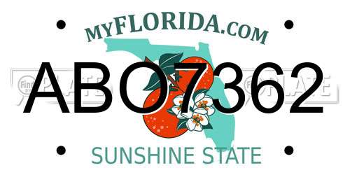 ABO7362 Florida License Plate