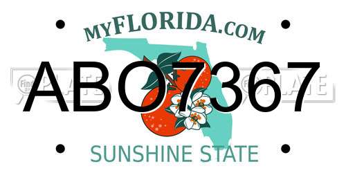 ABO7367 Florida License Plate