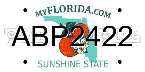 ABP2422 Florida License Plate
