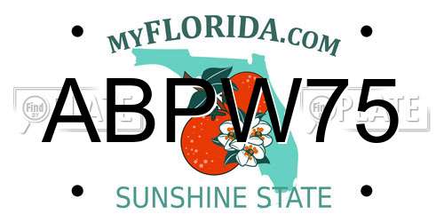 ABPW75 Florida License Plate