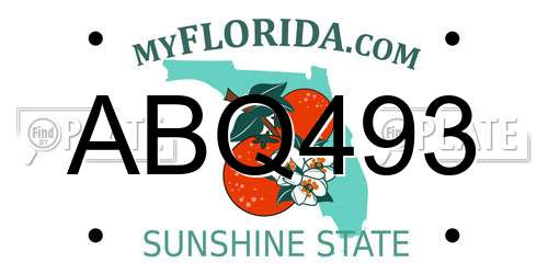 ABQ493 Florida License Plate