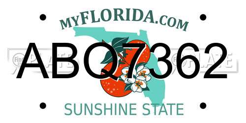 ABQ7362 Florida License Plate