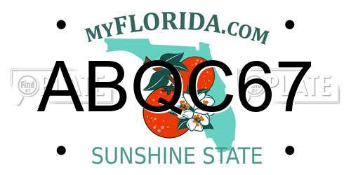 ABQC67 Florida License Plate
