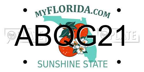ABQG21 Florida License Plate