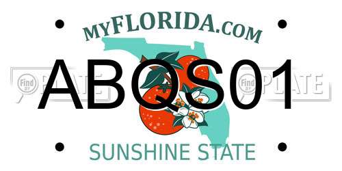ABQS01 Florida License Plate
