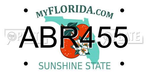 ABR455 Florida License Plate