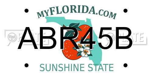ABR45B Florida License Plate