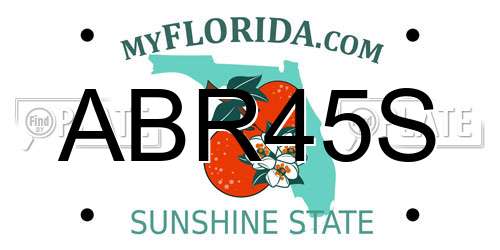 ABR45S Florida License Plate