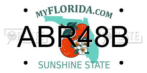 ABR48B Florida License Plate