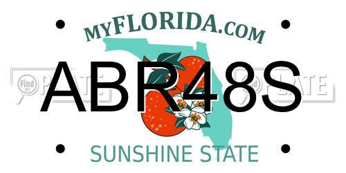 ABR48S Florida License Plate