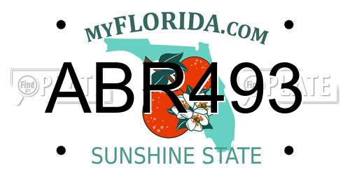 ABR493 Florida License Plate