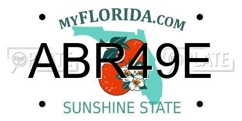 ABR49E Florida License Plate