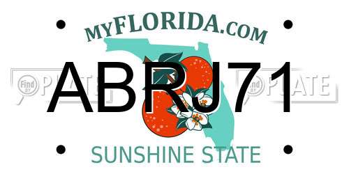 ABRJ71 Florida License Plate