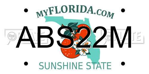 ABS22M Florida License Plate