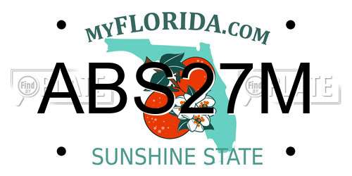 ABS27M Florida License Plate