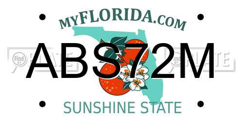 ABS72M Florida License Plate