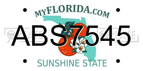 ABS7545 Florida License Plate