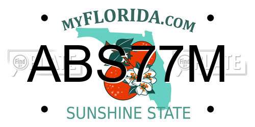 ABS77M Florida License Plate