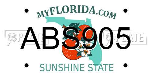 ABS905 Florida License Plate
