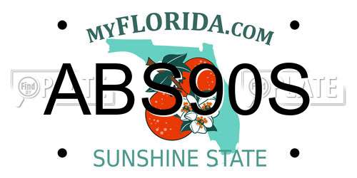 ABS90S Florida License Plate