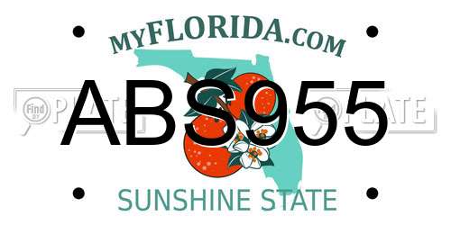 ABS955 Florida License Plate