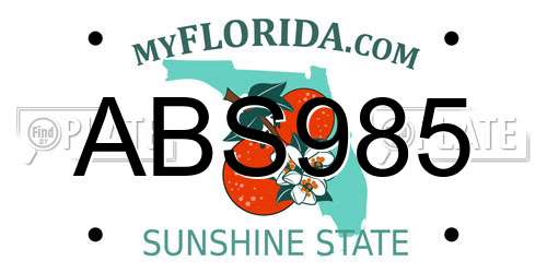 ABS985 Florida License Plate