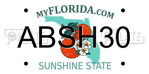 ABSH30 Florida License Plate