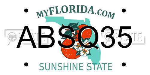 ABSQ35 Florida License Plate