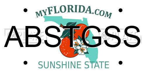 ABSTGSS Florida License Plate