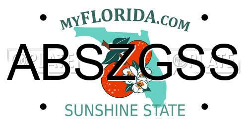 ABSZGSS Florida License Plate