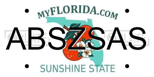 ABSZSAS Florida License Plate
