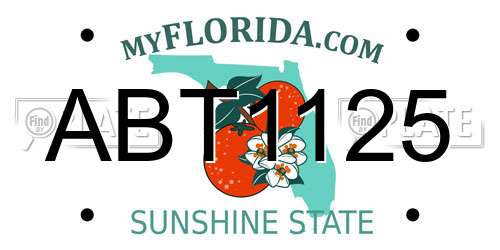 ABT1125 Florida License Plate