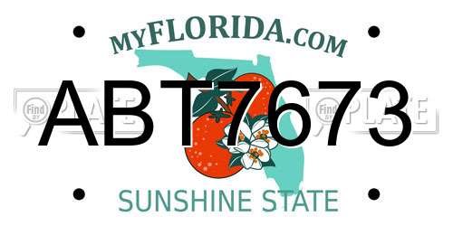 ABT7673 Florida License Plate